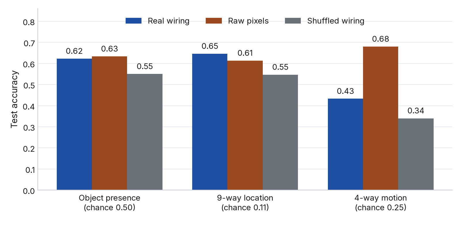 Bar chart comparing the real fly connectome, a degree-preserving shuffle, and raw camera pixels across three readouts. Raw pixels match or beat the connectome on all three.